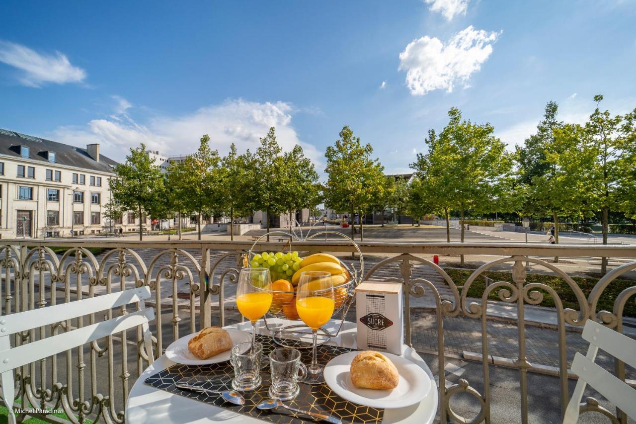 L'Ile De La Breche Apartment Niort Ngoại thất bức ảnh