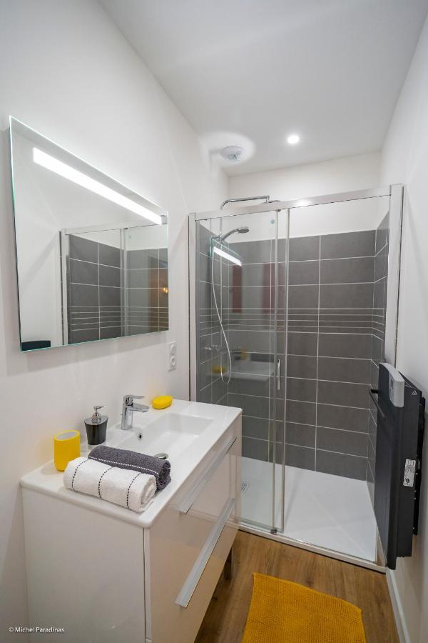 L'Ile De La Breche Apartment Niort Ngoại thất bức ảnh