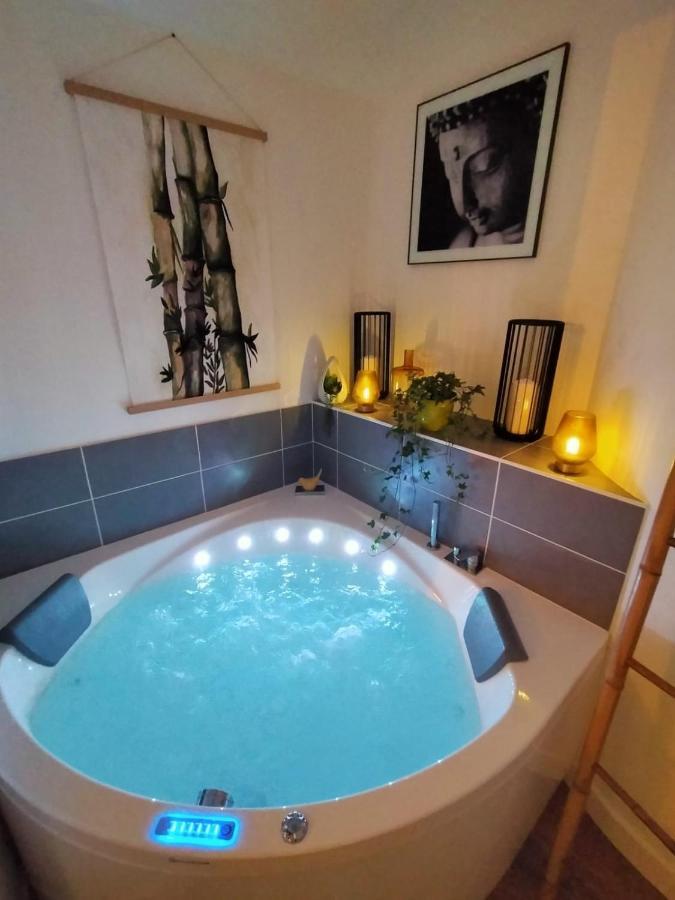 L'Ile De La Breche Apartment Niort Ngoại thất bức ảnh
